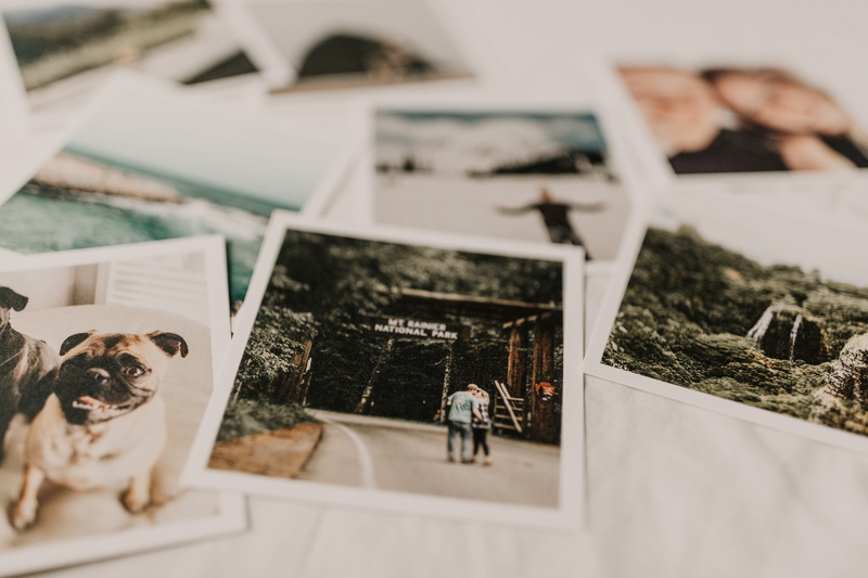 indoors, printed photo, people, men, photo, 5K, several, portraits, imagery, dog, tree, togetherness, print, snapshot, adult, women, architecture, textile