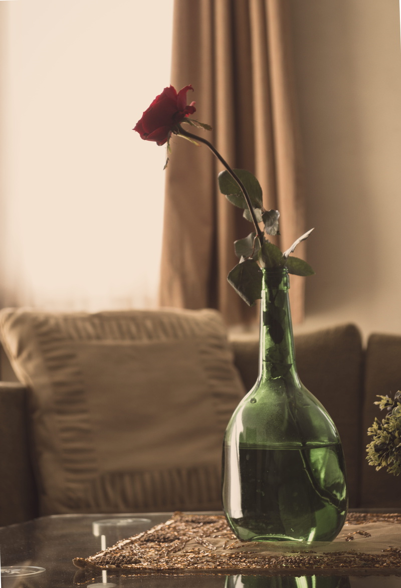 chair, flower head, homedecor, blossom, 5K, interiordesign, alcohol, plant stem, nature, interior, focus on foreground, glass, home, freshness, close-up