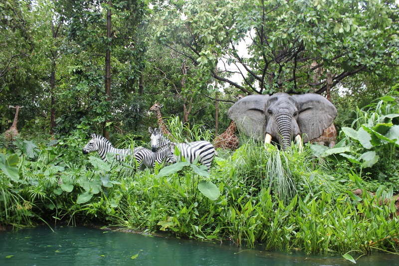 beauty in nature, animal, day, two, drinking, nature, white tiger, jungle, water, no people, vertebrate, elephants, plants, grass, forest, body, zebras