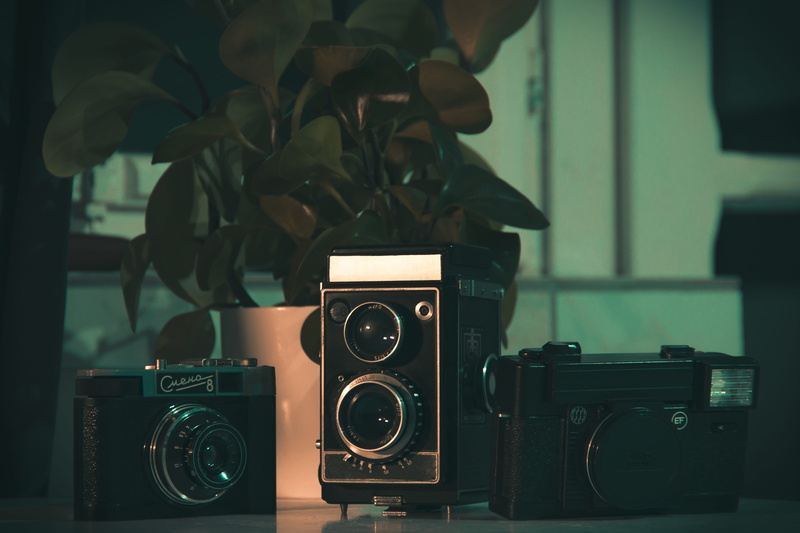 vintage, equipment, close-up, arts culture and entertainment, cameras, camers, pot, digital camera, still life, no people, plant, cámara, table, cámara analógica