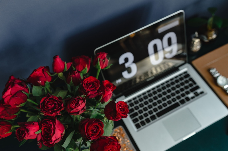 laptop, text, female, macbook pro, flowering plant, Red Roses, no people, Table, red, businesswoman, close-up, Desk, flowers, flower arrangement, workspace
