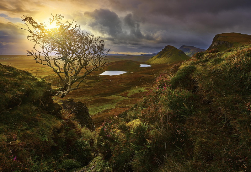 scenics - nature, beauty in nature, Scotland, nature, hills, clouds, growth, pot, idyllic, cloud - sky, valley, tree, environment, tranquility, no people