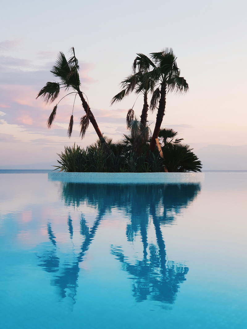 swimming pool, 4K, trees, cloud - sky, plant, tranquility, calm, cyan, horizon, horizon over water, pot, sea, tree, scenics - nature, sunset, tropical climate