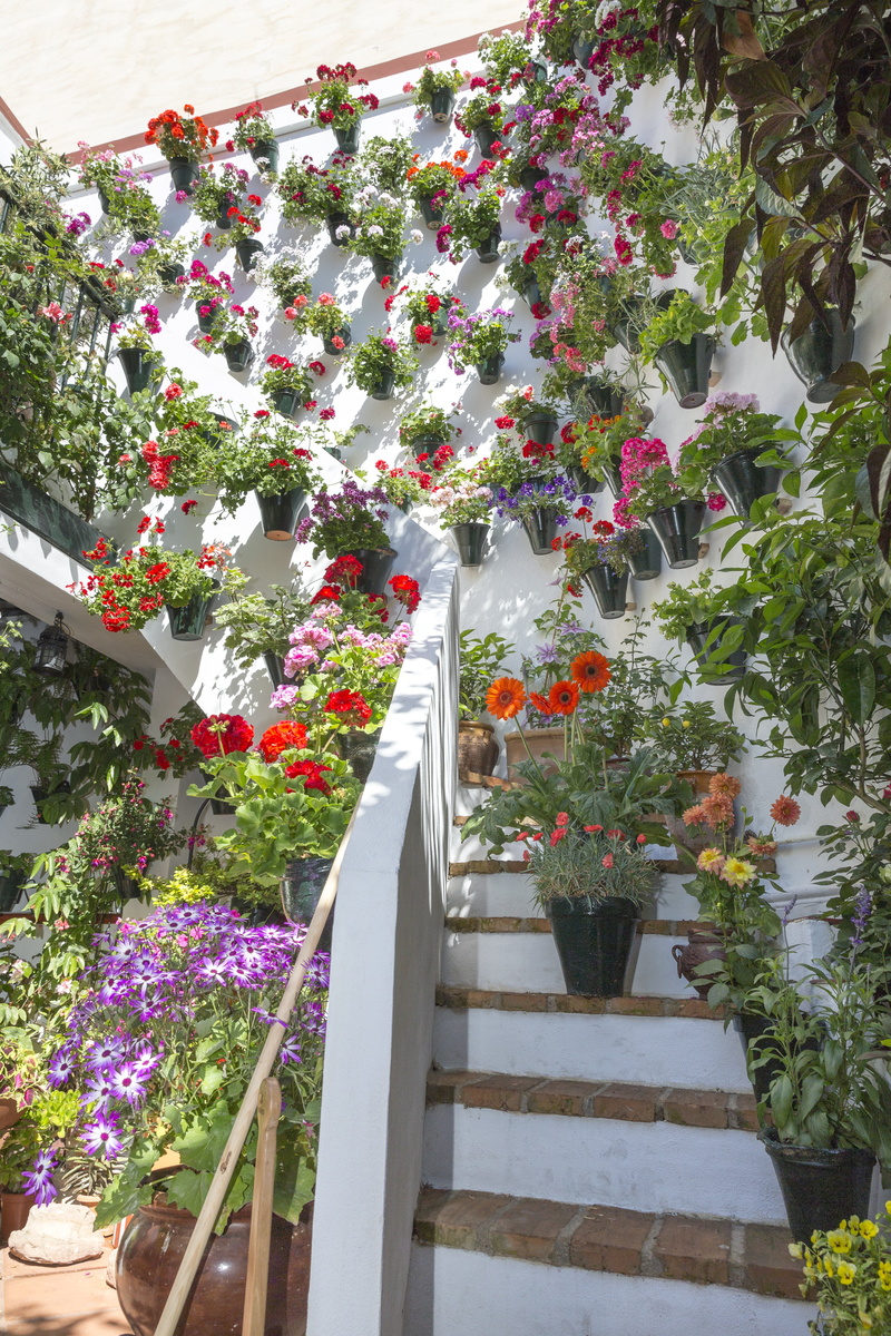 patios de córdoba, green, multi colored, cordoba, staircase, growth, no people, flower pot, outdoors, spring, courtyards, plant, beauty in nature, potted plant