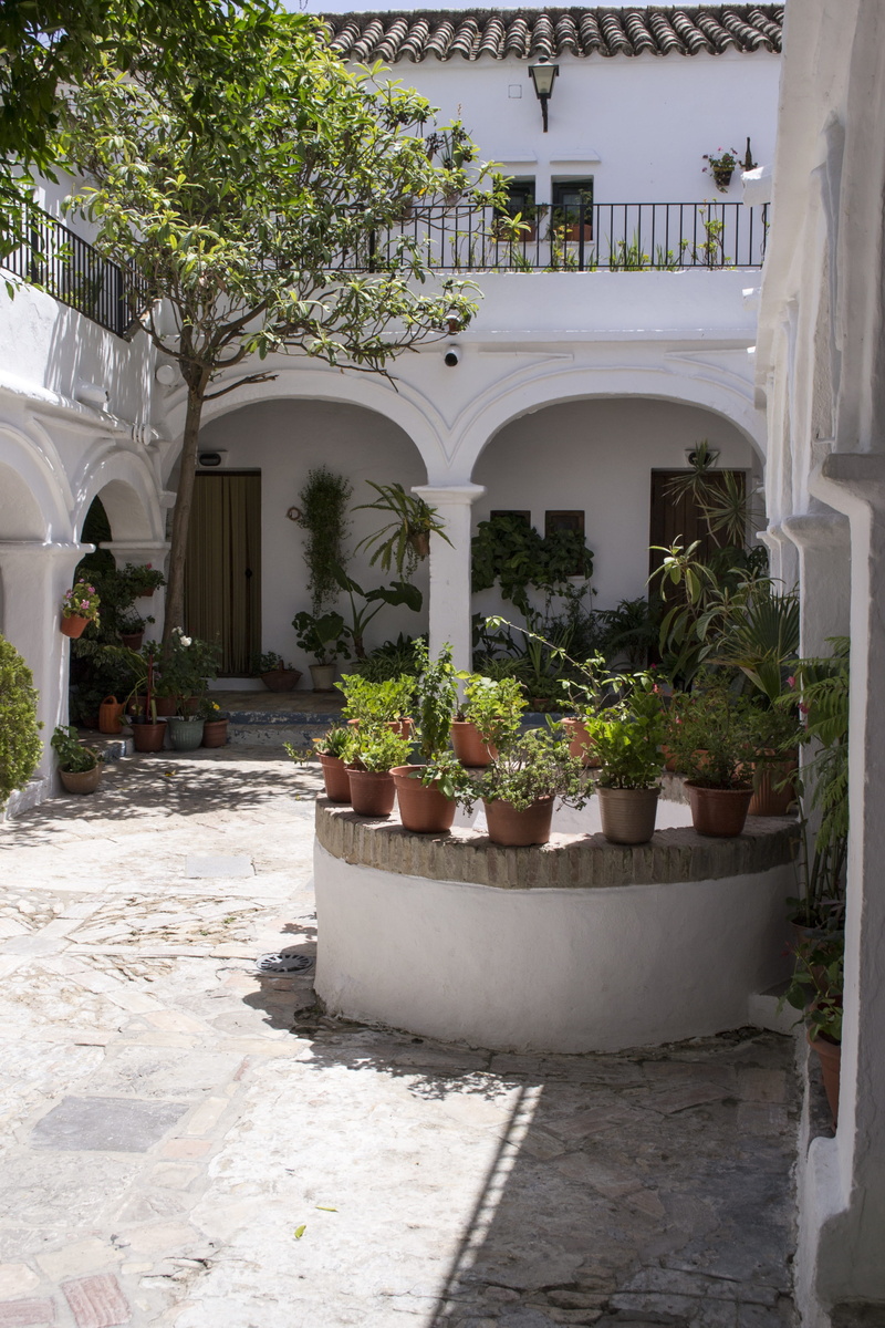 4K, patio, day, vejer, white color, the frontera vejer, andalusian patio, courtyard, architectural column, nature, growth, arch, residential district