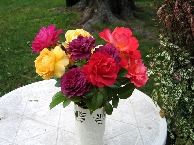 summer, flower, petal, celebration, love, flower arrangement, flower pot, rose, beauty, gift, outdoors, arrangement, romance, red, assorted, plant part
