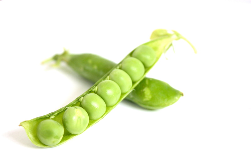 nature, grow, seed, health, legume family, summer, snow, raw food, close-up, vegetable, food, legume, vegetarian food, two, cut out, indoors, food and drink