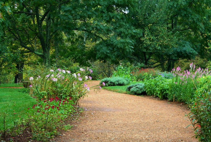 green, garden path, flower, beauty in nature, outdoors, 2K, tranquil scene, flowers, pathway, horticulture, day, tree, ornamental garden, tranquility