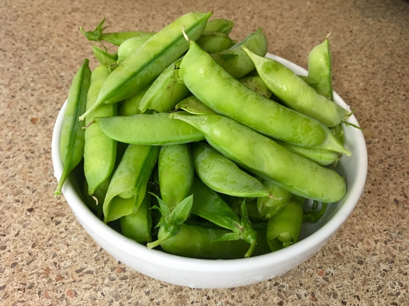 snack, day, high angle view, bowl, Local, raw food, garden, crop, vegetarian, delicious, green color, edible, ingredient, organic, close-up, container