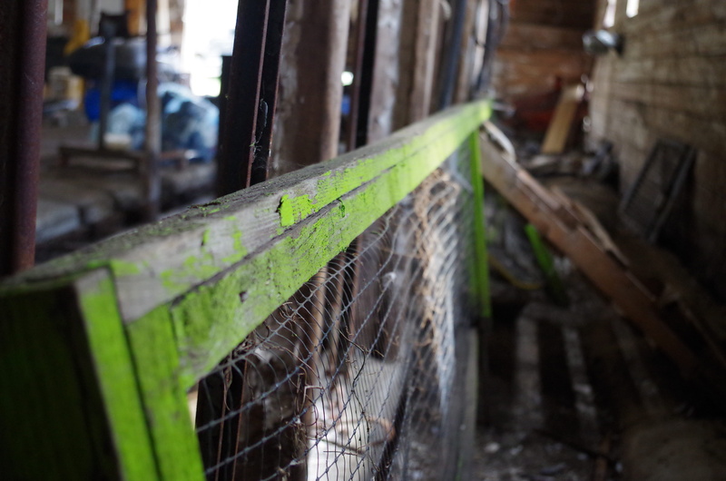 barrier, close-up, farm, peas, garden, weathered, abandoned, outdoors, green, kids, canada, painted, tools, nature, focus on foreground, damaged, wetaskiwin