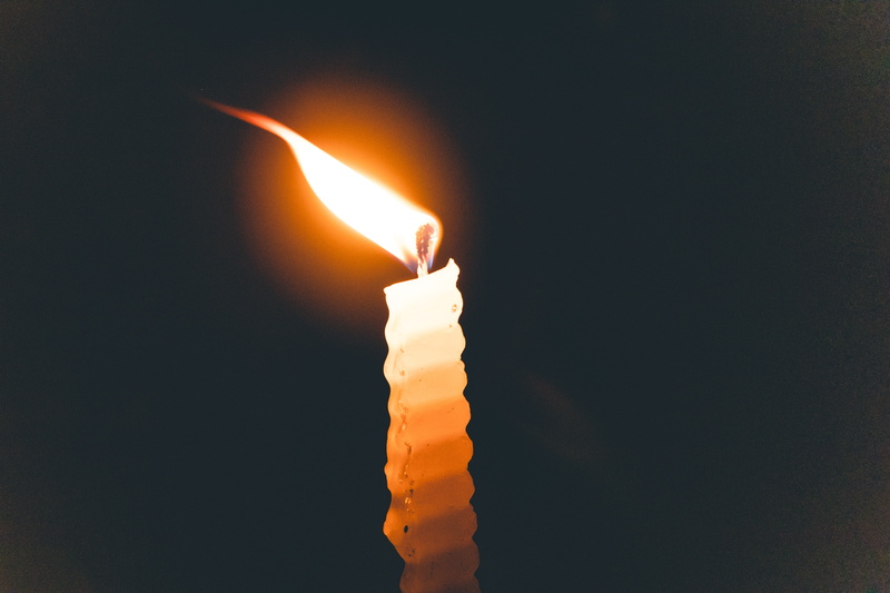 no people, plant, applique, blossom, lighting equipment, lightbulb, vigil, orange color, stick, 5K, dark, nature, flower, bonfire, heat - temperature