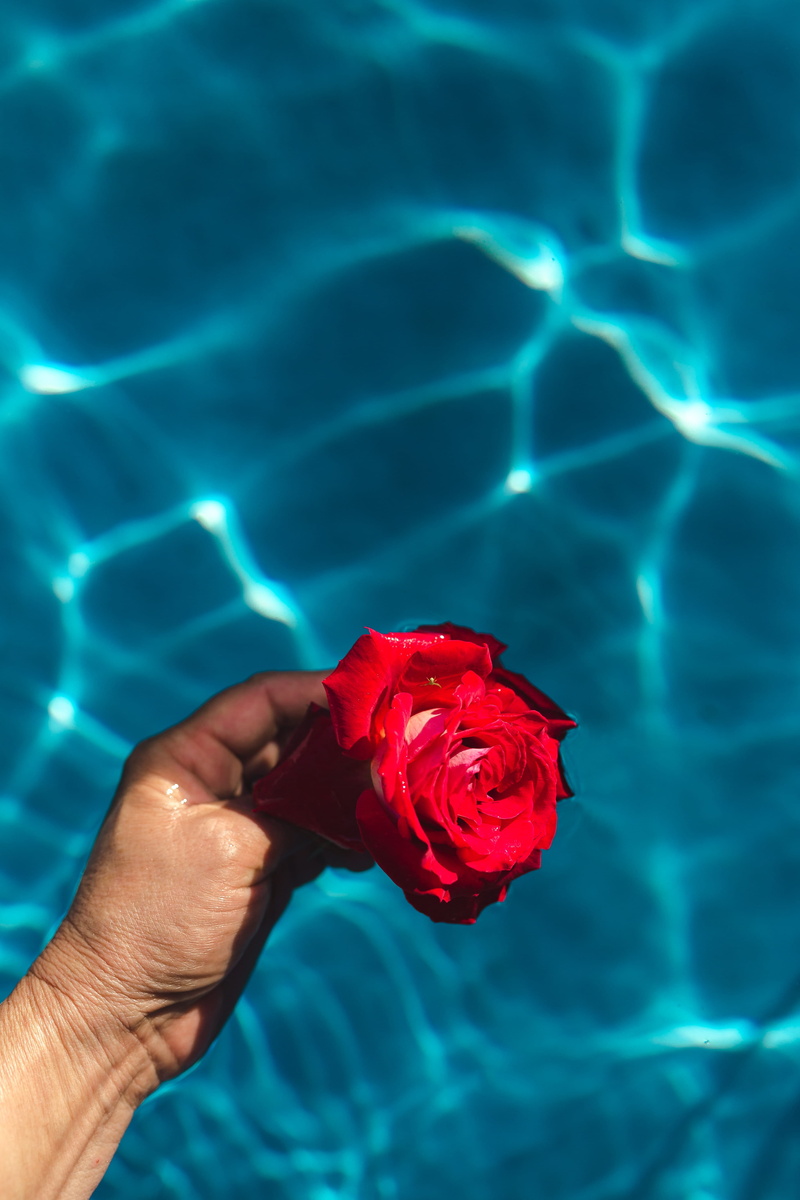 turquoise colored, human hand, men, beauty in nature, flower, one person, warm, lifestyles, water, unrecognizable person, plant, red, swimming pool, hand