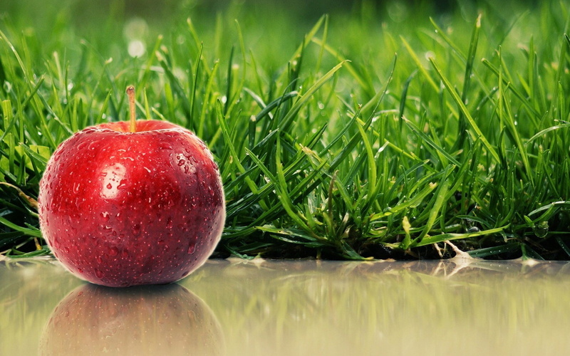 autumn, no People, food, 1080P, gourmet, leaf, water, dieting, ripe, apple - Fruit, refreshment, healthy Eating, backgrounds, food and drink, fruit, dew