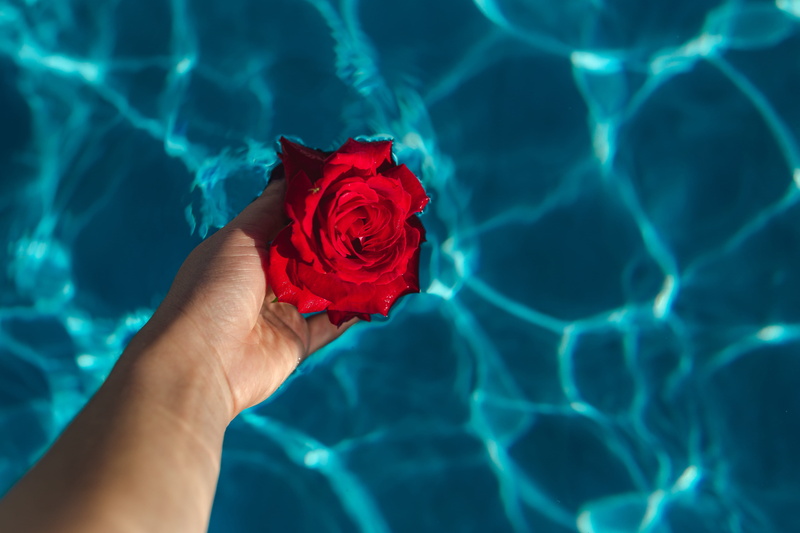 adult, pool, swimming pool, turquoise colored, aqua, freshness, vacation, water, swim, warm, flowering plant, one person, garden, hand, human body part