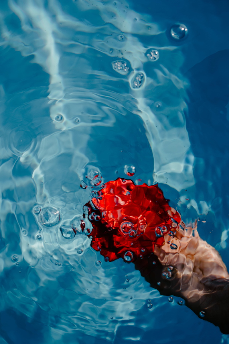 flower, swimming pool, leisure activity, lifestyles, flowering plant, blue, vacation, fresh, warm, human body part, human hand, body part, swim, real people