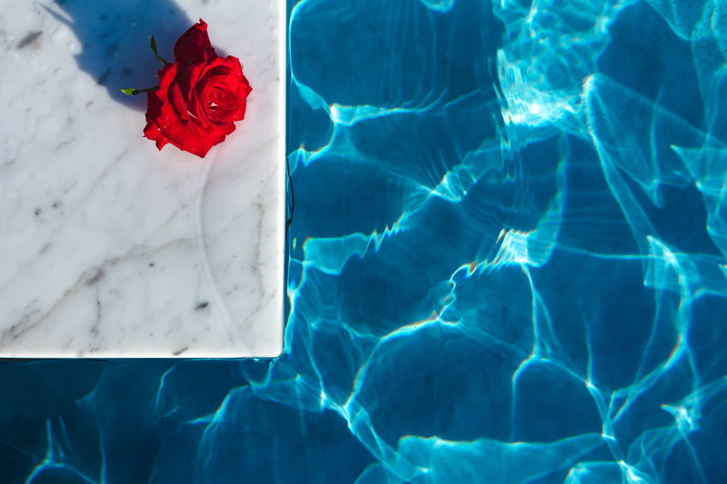 nature, beauty in nature, fresh, floating, transparent, rippled, warm, swim, blue, white color, high angle view, freshness, swimming, flower, swimming pool