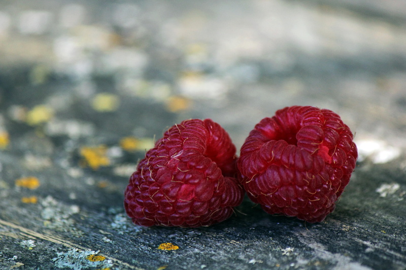 wood - material, food photography, blur, focus, macro, berry fruit, fresh, photography, red, food and drink, berries, day, lychee, nature