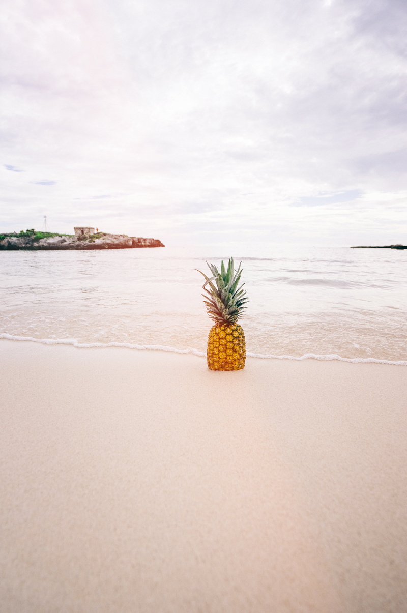 no people, sand, flower, sky, beauty in nature, fruit, horizon, freshness, ocean, ananas comosus, sea, flower head, tranquility, seashore, plant, beach