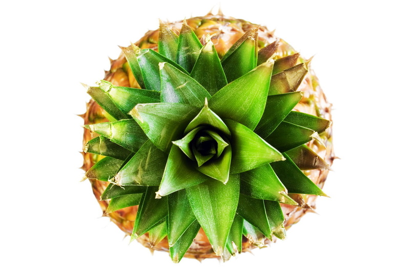 vegetable, close-up, juicy, tropical, directly above, pinapple, cut out, high angle view, ananas, food and drink, healthy, fruit, vegetarian food, white