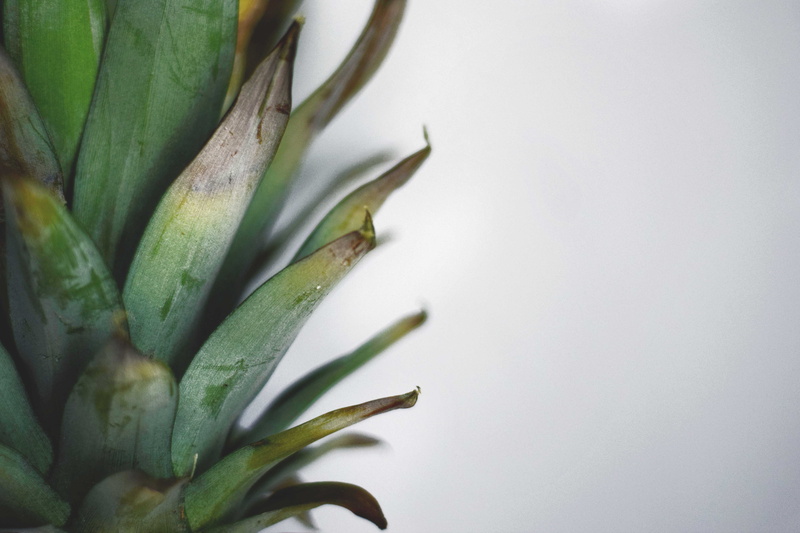 green color, close-up, white background, indoors, leaf, pineapple, fruit, 5K, beauty in nature, kitchen, growth, food and drink, plant, day, wellbeing