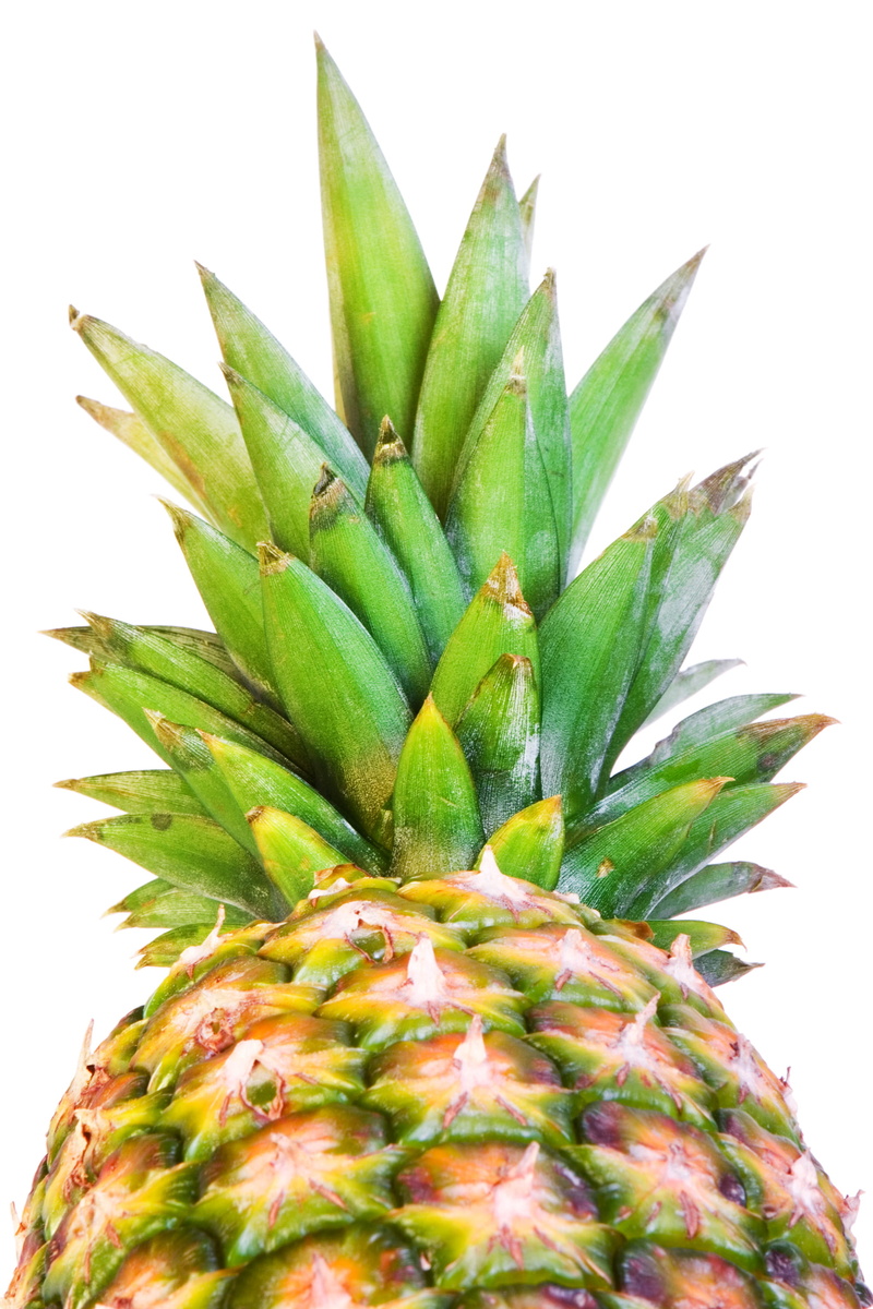 white background, freshness, pineapple, refreshment, dieting, plant, growth, nature, green color, tropical fruit, 2K, food and drink, studio shot, food