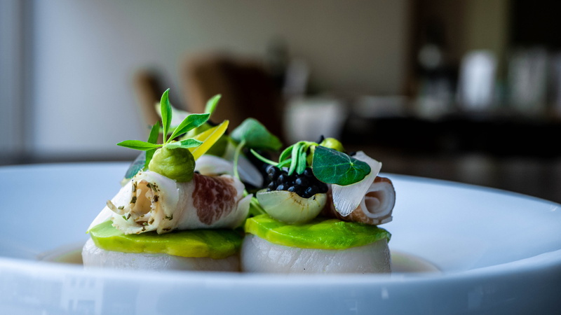 Coquille, appetizer, creme, plant, Onion, focus on foreground, vegetable, Ham, Avocado, Jacques, wellbeing, food, temptation, food and drink, ready-to-eat