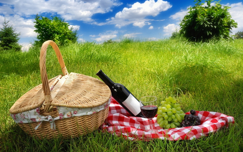 2K, grapes, grass, picnic, summer, wine