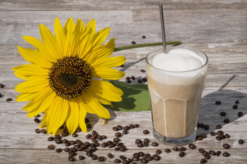 milk, eiscafe, drink, sun flower, no people, flower, blossom, flower head, shake, plant, 5K, beans, wood - material, table, coffee beans, milchschaum