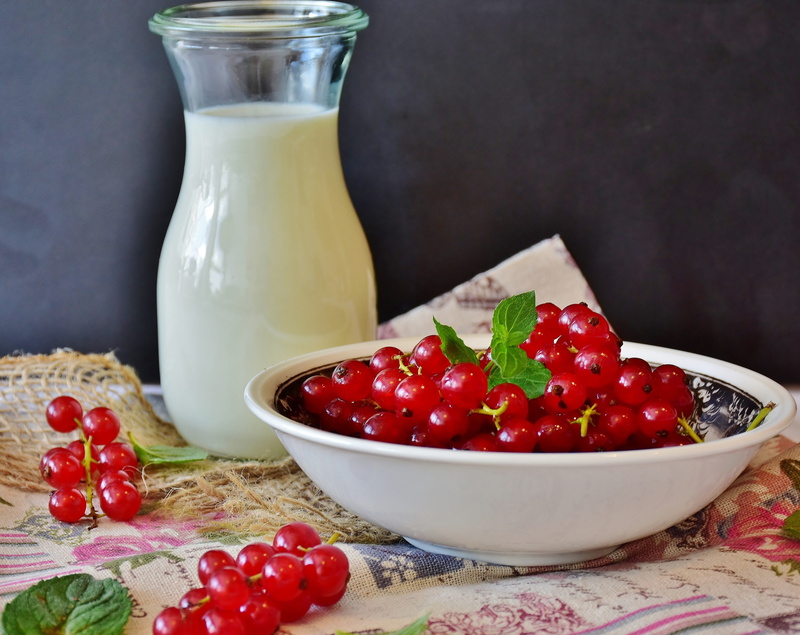 vegetarian, sweetness, food, healthy, herb, table, shake, currants, food and drink, white, drink, bowl, milk beverage, benefit from, red, thirst, dessert