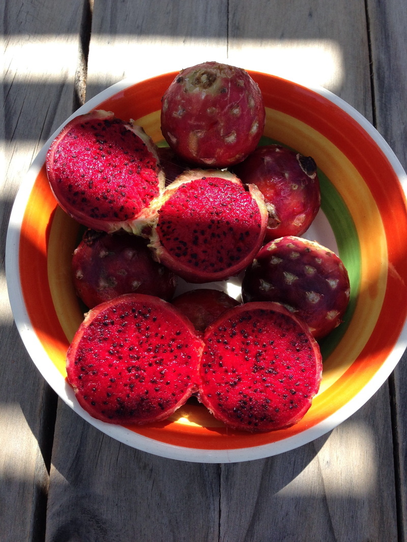 ripe, close-up, power, food, wood - material, juicy, berry fruit, 2K, nature, pitaya, no people, still life, plants, wellbeing, fresh, eat, tropical, red
