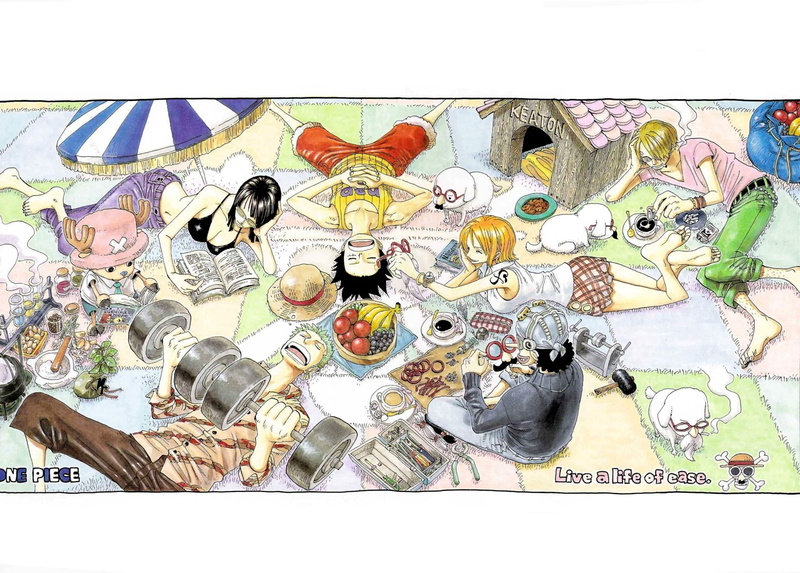 close-up, still life, representation, Nico Robin, art, abundance, Monkey D. Luffy, animal wildlife, no people, group of animals, high angle view, anime