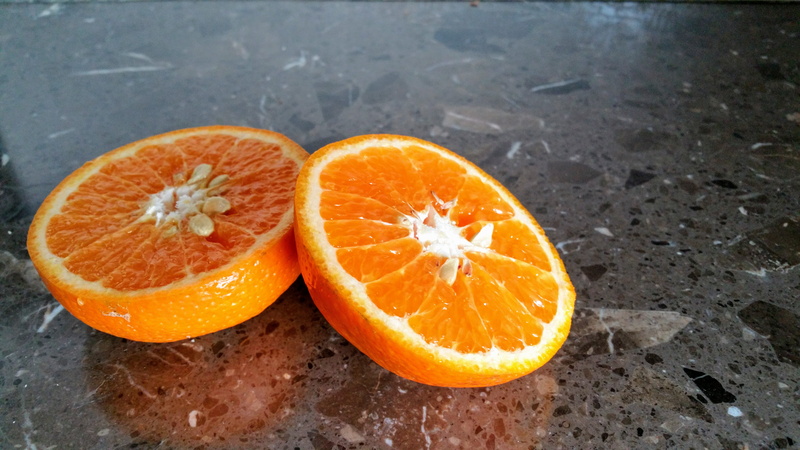 food and drink, close-up, citrus fruit, bright, wellbeing, healthy eating, round, juicy, sliced, fruit, food, pieces, cross section, orange - fruit, cut