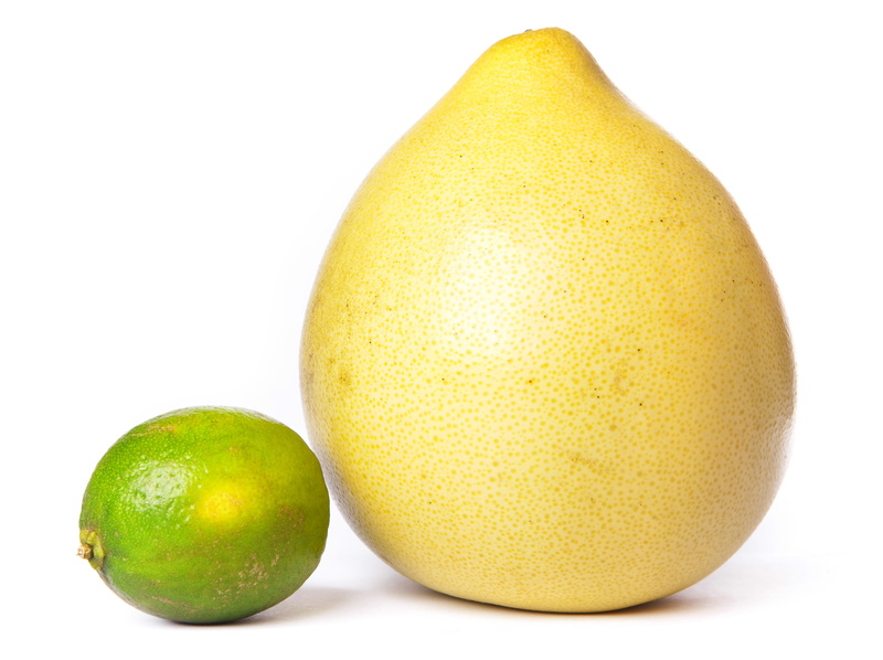 food, healthy, fruit, white background, piece, citrus, juicy, white, healthy eating, dessert, freshest, food and drink, yellow, close-up, ripe, isolated