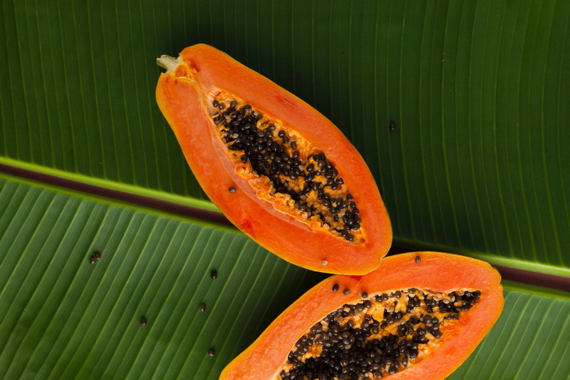1080P, leaves, papaya, fruit
