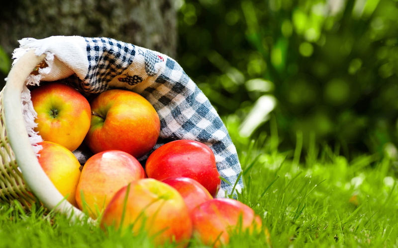 basket, 2K, Apples, Fruits, wicker, Bag, Cloth, Grass, Red, brown
