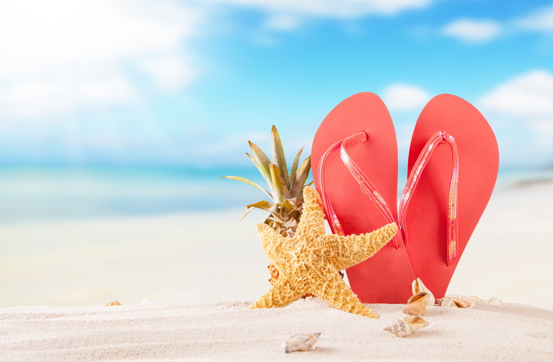 starfish, vacation, summer, sea, slates, seashells, sand, 5K, beach, the sun