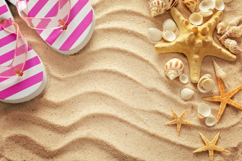 shell, sand, vacation, starfish, stay, 8K, slates, seashells, beach, summer