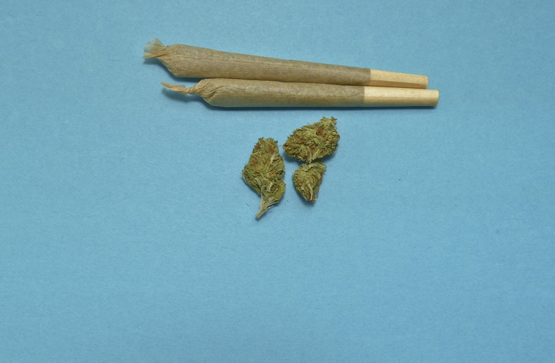 two, weed, group of objects, joints, plant part, studio shot, mj, high angle view, cut out, no people, day, indoors, blue, still life, marijuana, nature