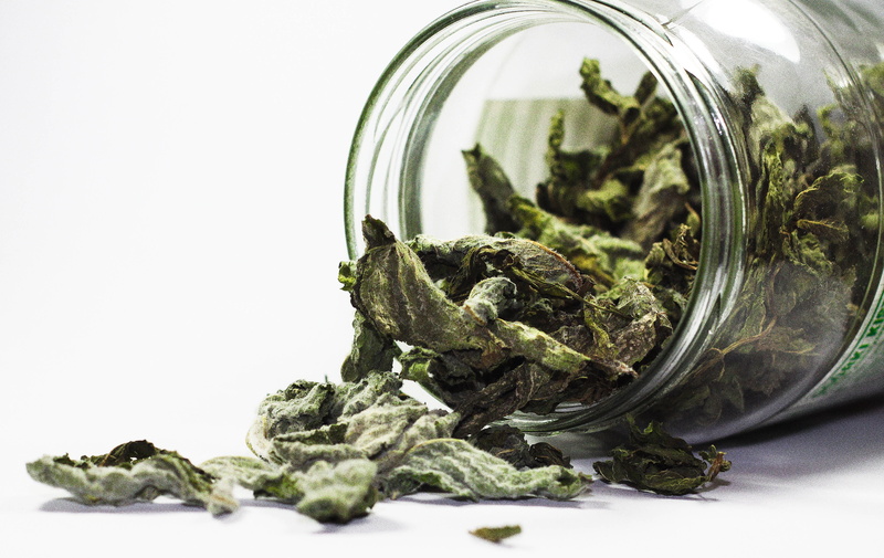 the cultivation of, herbal medicine, kitchen, spilled, jars, medicine, healthy eating, healthy, mint, natural, white background, food and drink, glass - material