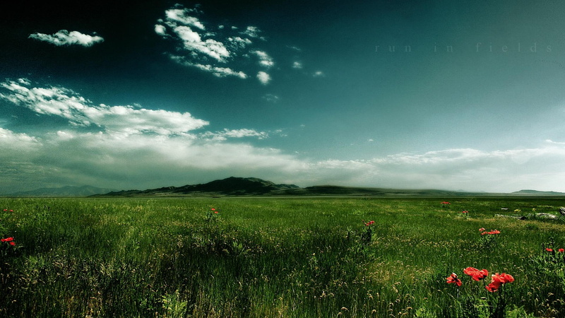 1080P, gras, 3d and abstract, fields, field, landscape, run, nature
