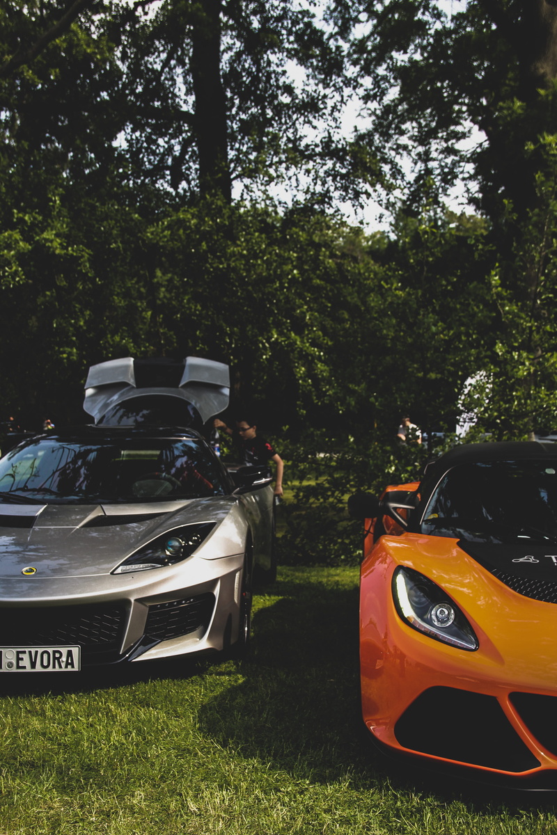 growth, tree, nature, luxury, day, 5K, field, grass, park, yand, design, automobile, stationary, automotive, auto, plant, lotus evora, lotu, land vehicle