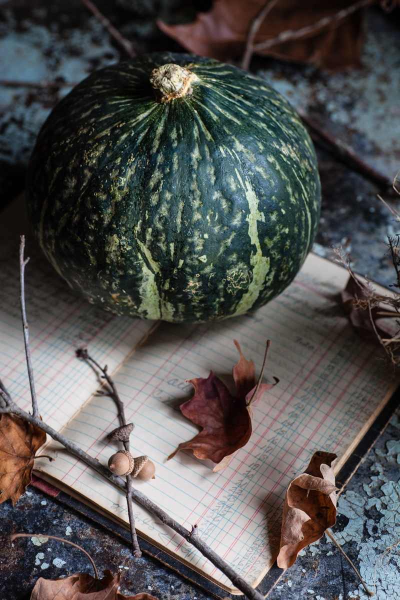 gourd, pumpkin, focus on foreground, squash, no people, vegetable, healthy eating, melon, freshness, high angle view, canine, day, leaf, chicken, still life