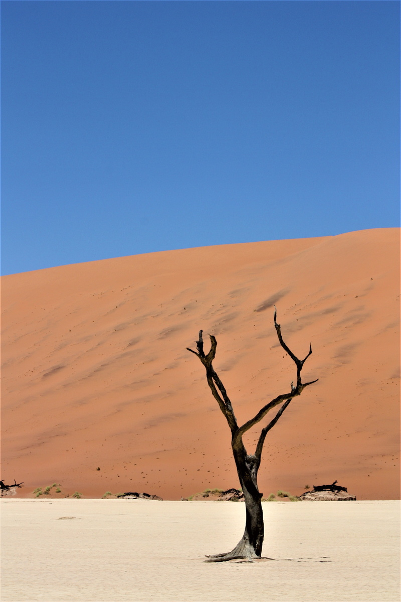 old, black, environment, desert, sky, silent, no people, ancient, dead, photography, land, outdoors, landscape, tranquil scene, dune, non-urban scene, remote