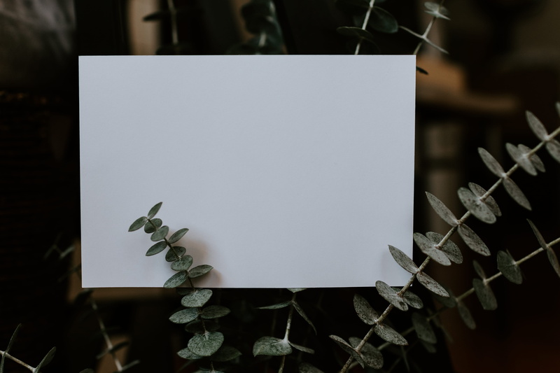 card, branch, geometric shape, text, craft, stem, art, art and craft, high angle view, blank, leaf, white, nature, green, empty, vegetation, still life