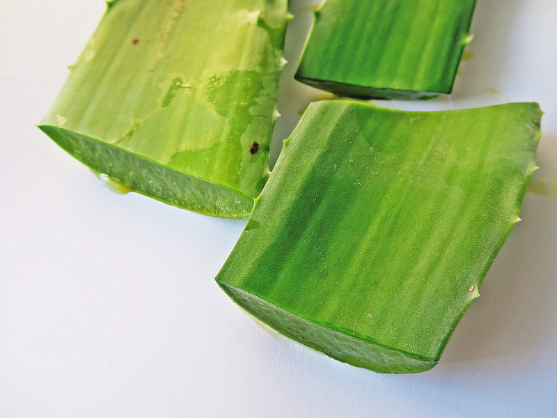 vera, no people, indoors, Aloe Vera, aloe vera l, burm, studio shot, slice, green color, f, leaf, cold temperature, food, 2K, asphodelaceae, ice, freshness
