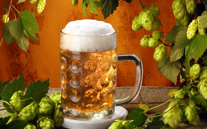 cerveza, vidrio, lupulu, plantas, jarra, 1080P