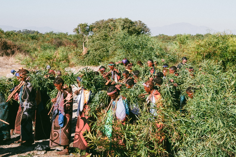 south africa, group of people, growth, countryside, photoshoot, crowd, vase, potted plant, outdoors, jar, sky, adult, cape town, plant, large group of people