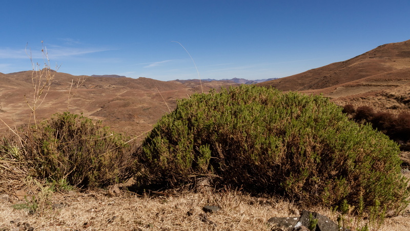 africa, sky, arid climate, desert, scenics - nature, tree, plant, lesotho, land, tranquility, mountain range, landscape, climate, beauty in nature, deserted