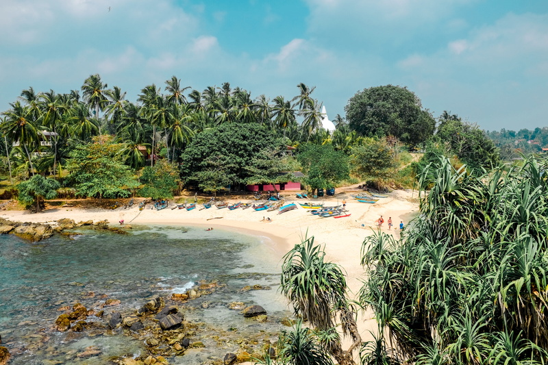 shoreline, nilwella, sea, green, day, tree, cloud - sky, coast, sri lanka, outdoors, plant, 4K, near, green color, beauty in nature, water, palm tree