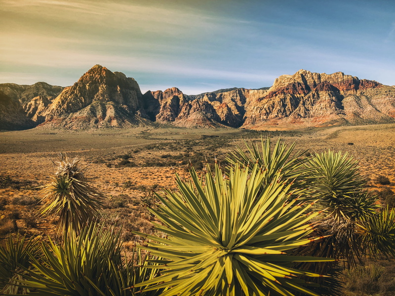 plant, promontory, mountain range, outdoors, semi-arid, tranquil scene, united states, landscape, environment, beauty in nature, urban, arid climate, panoramic